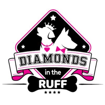 gwrdogwedding's profile picture. An official Guinness World Records® attempt to break the title for the Largest Dog Wedding Ceremony. Stay tuned for updates about the attempt in 2022!