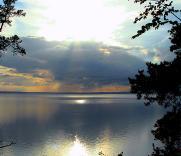 Xsutowh's profile picture. 