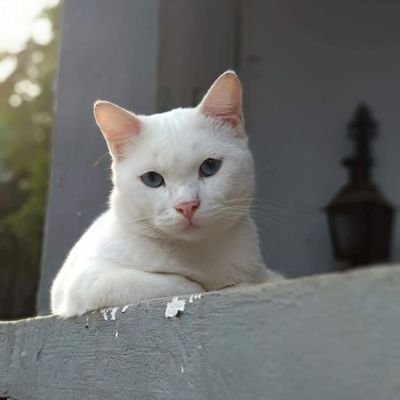 selalu belajar jd orang sabar..  ♥