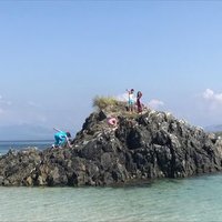 Caitriona Begley (@cbegleypt) 's Twitter Profile