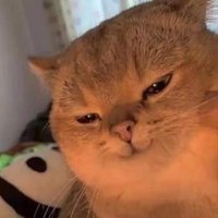 Kunzeuu (@kunzeuu1) 's Twitter Profile Photo