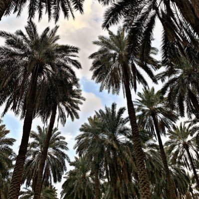 سبحان الله وبحمده .. سبحان الله العظيم