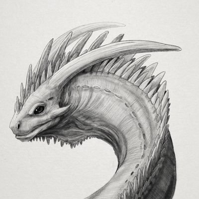 thedragonstory Profile Picture