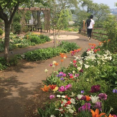 dears1026's profile picture. 株.登山.お酒が好きです。