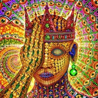 vibes_xmr (@vibes_xmr) 's Twitter Profile Photo