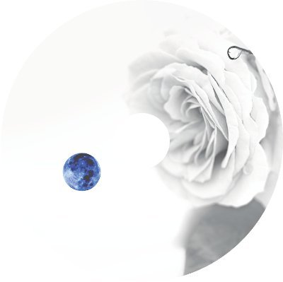 MOBIUS513's profile picture. 