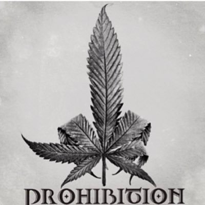 KagoshimaTeoshi's profile picture. 