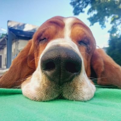 Milumili_Z's profile picture. 