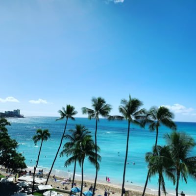 manohawa07's profile picture. 🌴ハワイ情報をお届け🌴 🏄‍♂️ North Shore🏄‍♂️ 🐬Waikiki🐬 🌊 Kailua 🌊