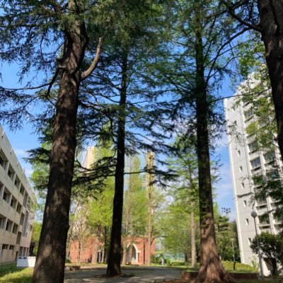 Kz32100's profile picture. 資産形成を楽しみます😊Twitterで株クラ、優待情報、地合い、企業情報など勉強しつつコツコツと🌿 優待好き⭐️150〜200銘柄保有（2012〜） 💫信用取引→ショートを試行錯誤💹資産推移🔁備忘メモ📝無言フォロー失礼します💦