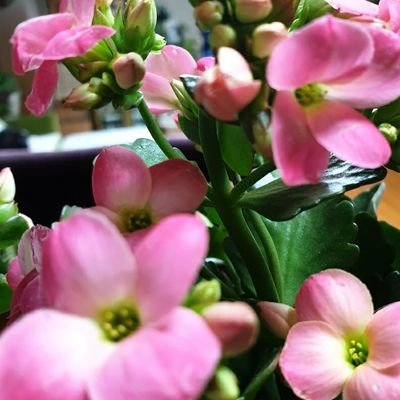 audgml0907's profile picture. 