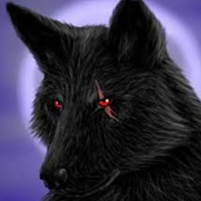 WolfdarkFranc's profile picture. 