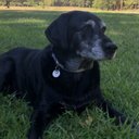 Lauren Proctor - @LaurenP05551279 - Twitter