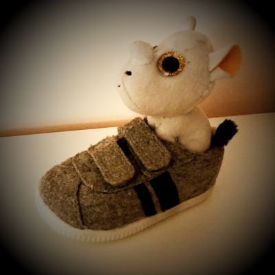 zou_x's profile picture. 