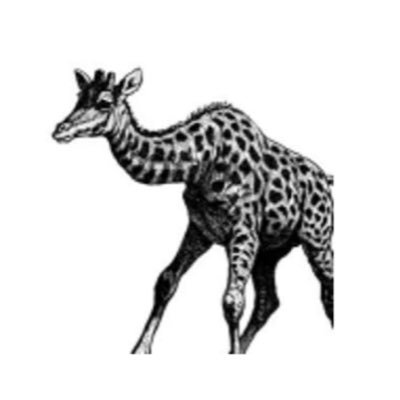 masataka2222222's profile picture. ビジネス立ち上げ屋 SaaS/ヘルスケア/デベロッパー/HR