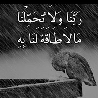🌸ابو عائشه 🌸🌷الجعفري2🌷 (@zphzitmm8ulygii) 's Twitter Profile