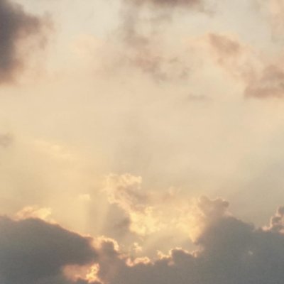 HaruMods's profile picture. We're the official mods for Haru Aims!