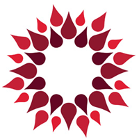 SA Wine Index (@sawineindex) 's Twitter Profile Photo