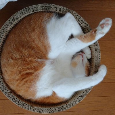 tcu66thchuouniv's profile picture. 