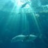 shiro (@hiroyuki_suzuki) Twitter profile photo