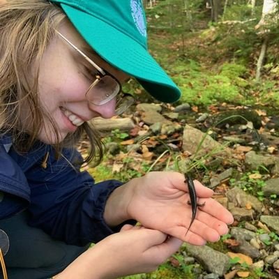 she/her. Senior undergrad studying amphibian ecology & conservation. Located in Maine, native to Appalachia.