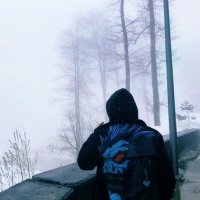 Mert (@mertonthehustle) 's Twitter Profile