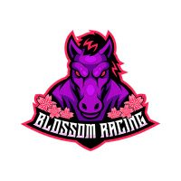 🌹🐎Blossom Racing 🐎 🌹 🇳🇿 (@blossom_racing) 's Twitter Profile