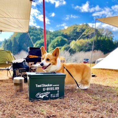 2021.2ふもとっぱらでソロデビュー🗻家の近くの土地を借りて野遊びしています⛺️🔥🐕フォローありがとうございます♪無言フォロー失礼します🙏 こっそりユーチューブ▶︎https://t.co/p5BDiB5V9Y