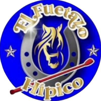 elfuetazohipico Profile Picture