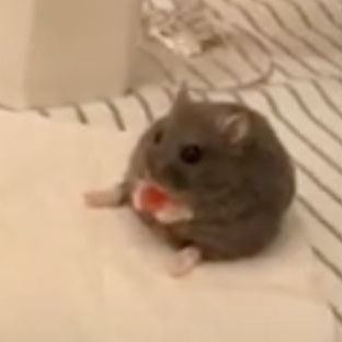 LanaeMimin's profile picture. Hola jotos