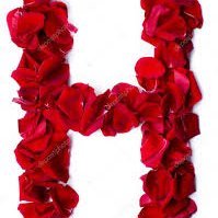 🌙Hanya💎 (@hanya550) 's Twitter Profile Photo