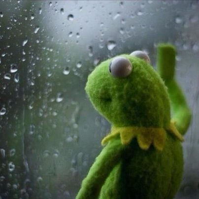 pupuchiko's profile picture. 