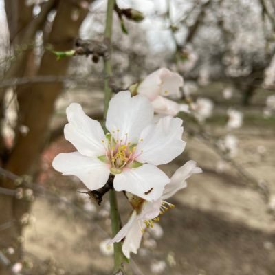 ElizaIssues's profile picture. How many issues will emerge before a major breakdown?????? Let’s count!!