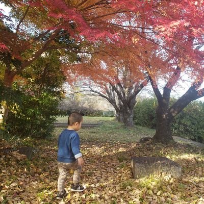 enen0308's profile picture. 4歳の男の子がいます！