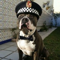 Valenciano🇪🇸 (@valenciano1410) 's Twitter Profile Photo Valenciano🇪🇸 (@valenciano1410) 's Twitter Profile Photo