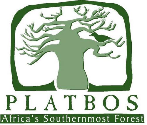 Africa's southernmost indigenous forest: a community of wonderous & ancient trees. Support #trees4hope through Platbos Conservation Trust NPO. Visitors welcome!