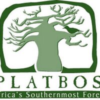 Platbos Forest (@platbosforest) 's Twitter Profile