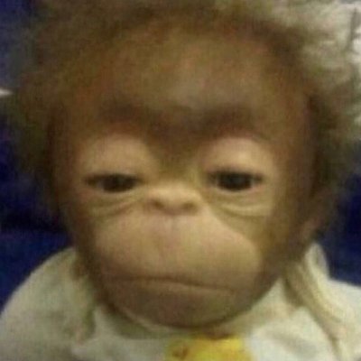 CrimzRL's profile picture. 