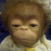 Crimz (@crimzrl) 's Twitter Profile Photo Crimz (@crimzrl) 's Twitter Profile Photo