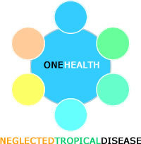 The International Society for Neglected Tropical Diseases. Launched at OneHealth NTD conference June 2012. Next Oct: parasitology conference www.isntdbites.com