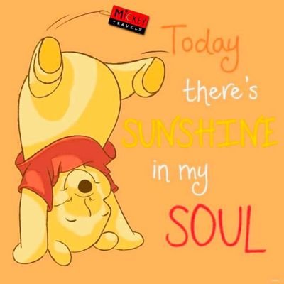 sveltedichebabe's profile picture. 