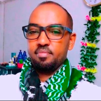salimguul's profile picture. 