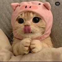 milagrosinnobre (@milagrosinombre) Twitter profile photo