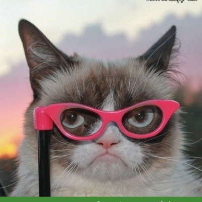 polimorfa's profile picture. stay together
learn the flowers
go light