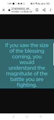 Naisalei2's profile picture. 