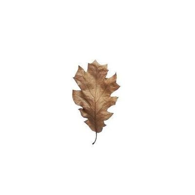 ivegotyu's profile picture. love your life, live your life