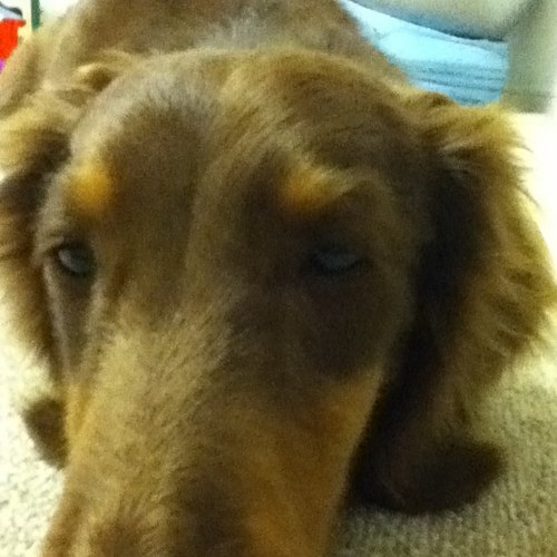 otachar's profile picture. 