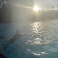 New Bath Lido (@newbathlido) 's Twitter Profile