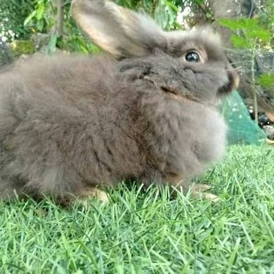 Amz23030202's profile picture. 