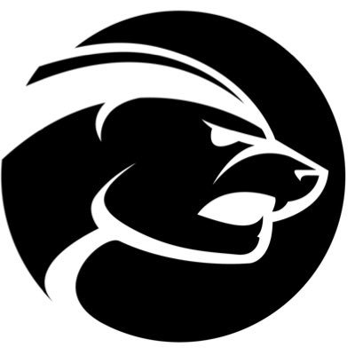 badger71army Profile Picture